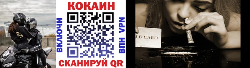 Купить закладки  Отрадная  COCAIN FishScale 
