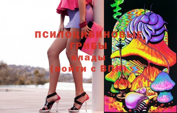 гидропоника Мегион