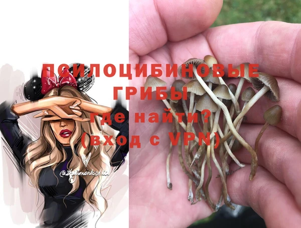 гидропоника Мегион